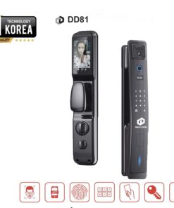 DD81