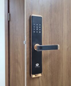 KHÓA ĐIỆN TỬ DDLOCK -  A79
