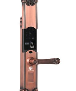 KHÓA ĐIỆN TỬ SẢNH CỔ ĐIỂN 4T - DD55