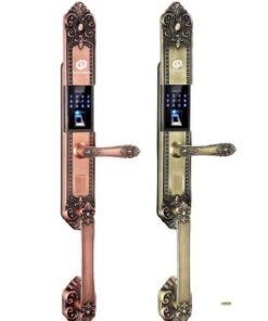 KHÓA ĐỒNG SẢNH ĐIỆN TỬ CỔ ĐIỂN - DD29