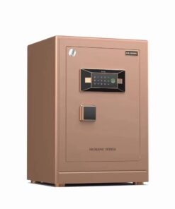 KÉT SẮT DDLOCK - FDX - A / D60C  FACE ID ( 60KG )
