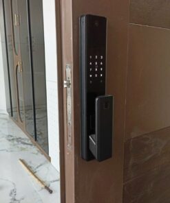 KHÓA ĐIỆN TỬ DDLOCK - A98F ( FACEID - APP )